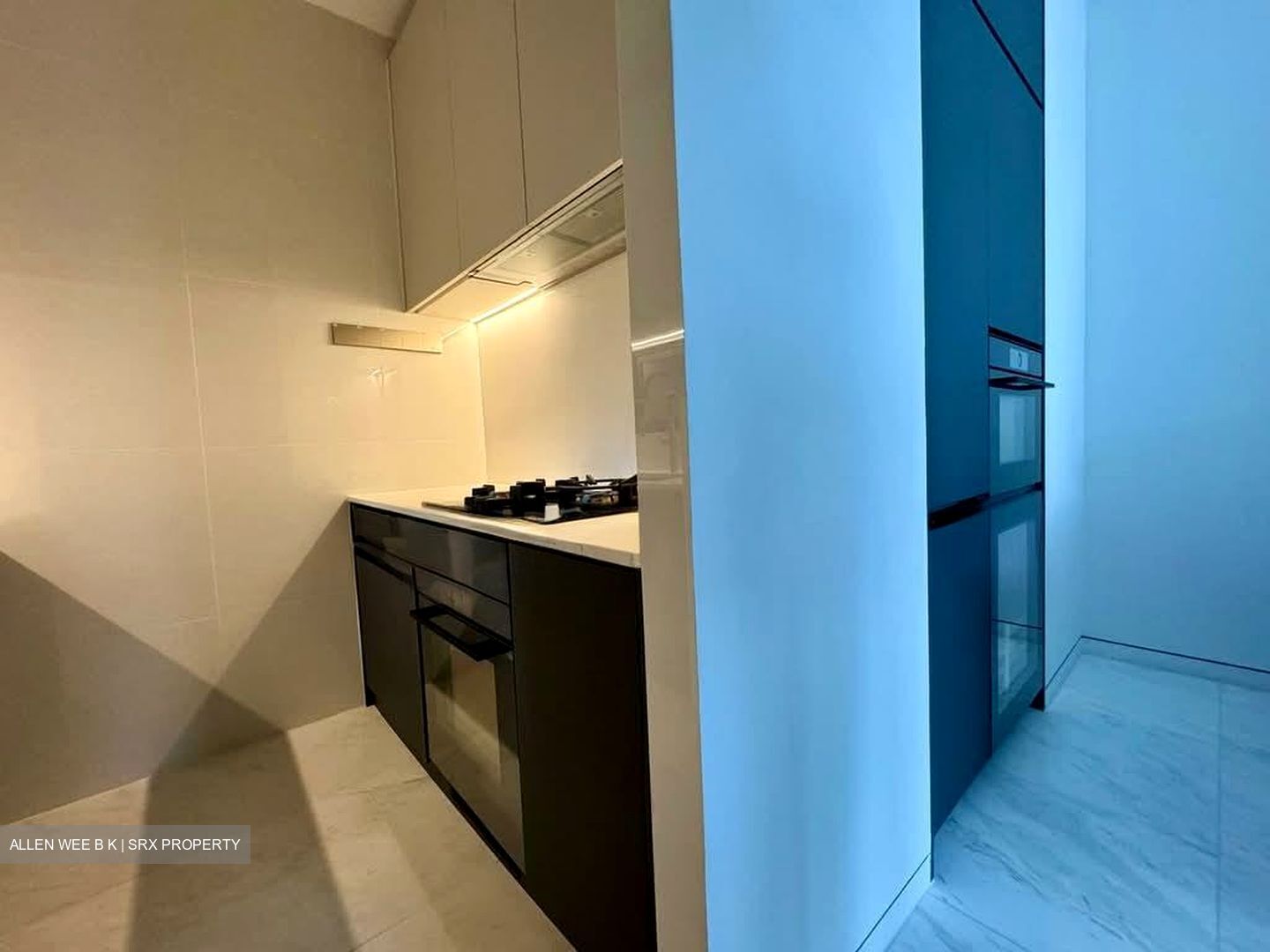 Cairnhill 16 (D9), Apartment #591952301